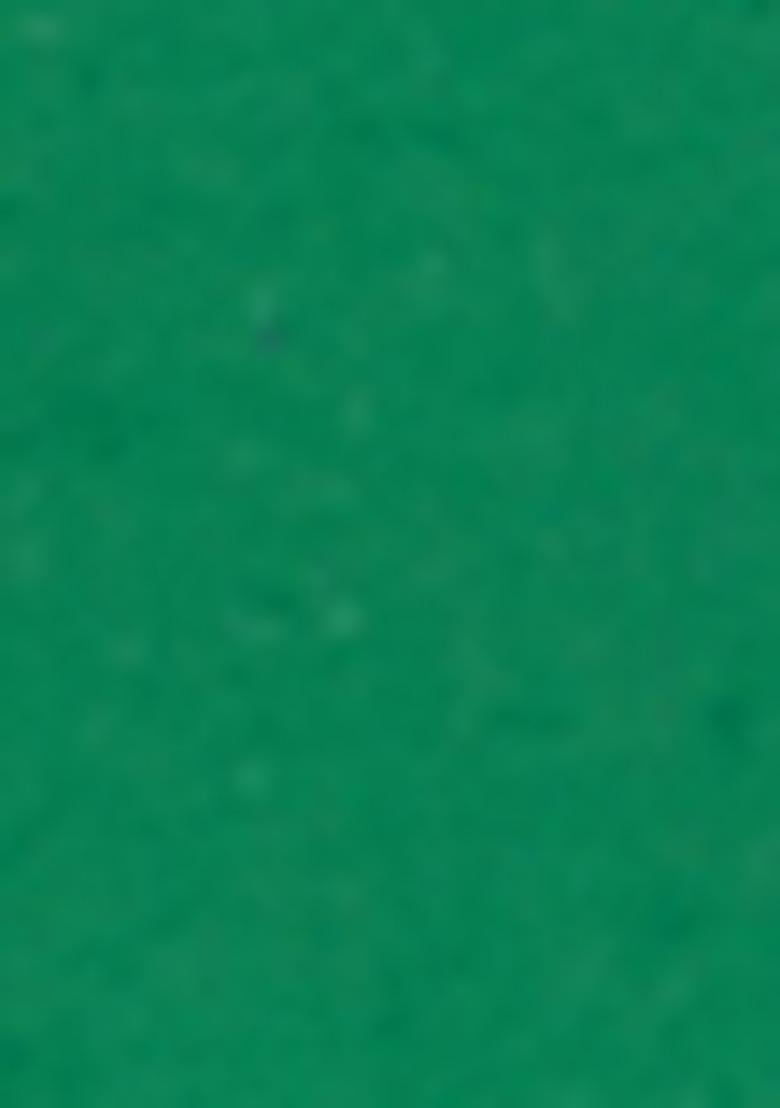 Green Embroidered Silk Sherwani for Men